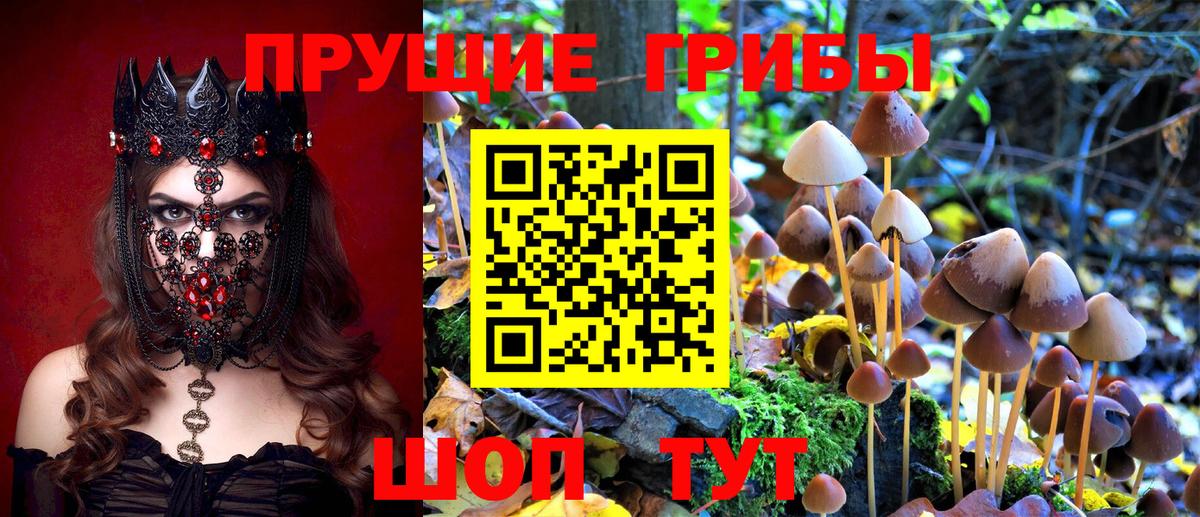 купить закладку  Галлюциногенные грибы Magic Shrooms  Пермь  Вход с VPN  Галлюциногенные грибы мухоморы 
